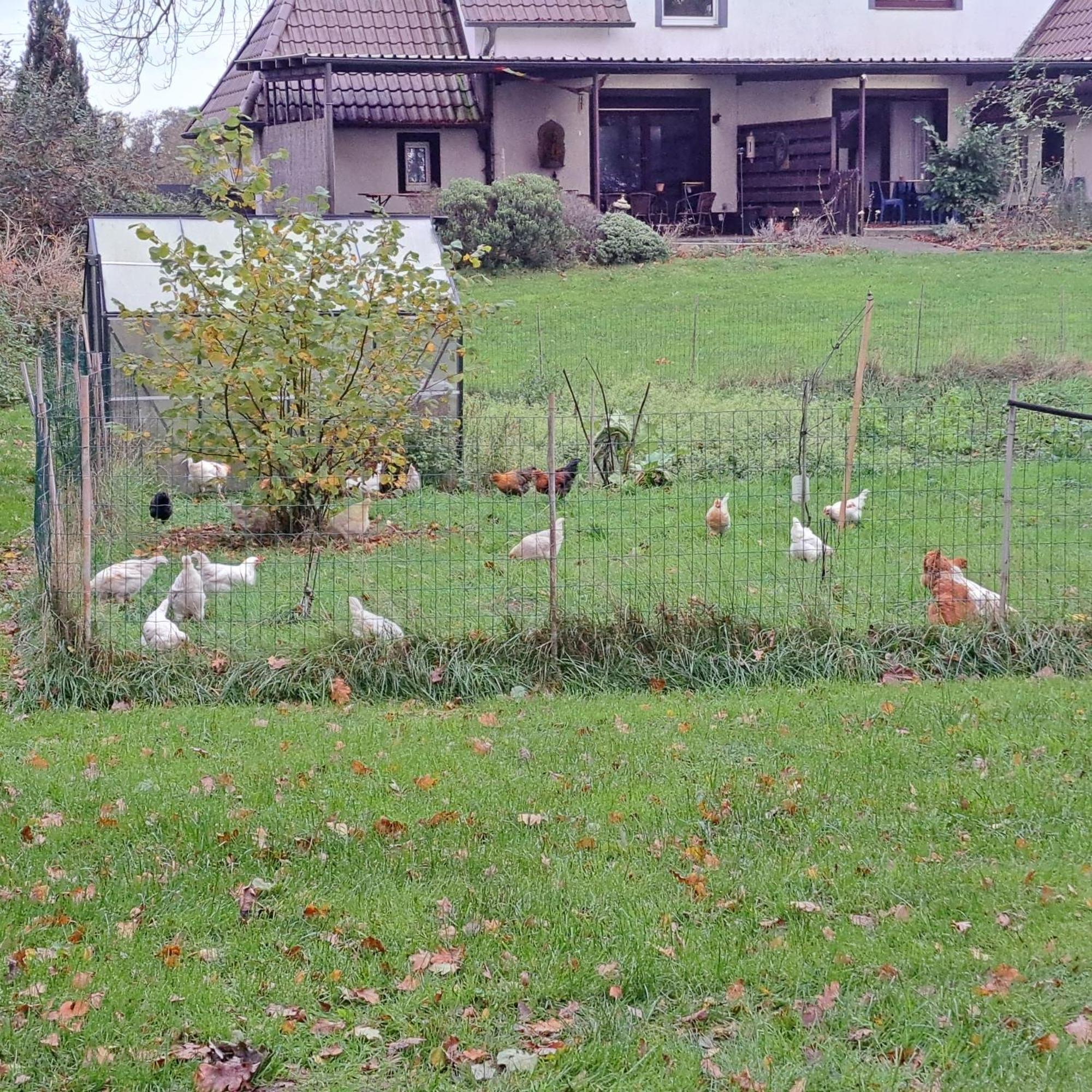 Lovely House In The Countryside By ノルトホルン エクステリア 写真